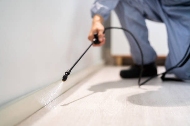 Bed Bug Pre-Treatment Preparation Assessment in Amery