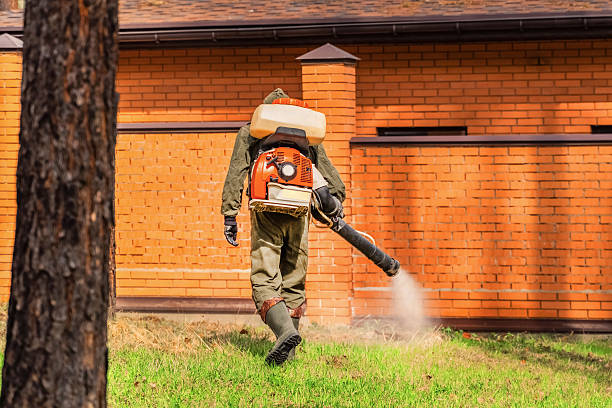Bed Bug Clearance Verification and Documentation in Amery